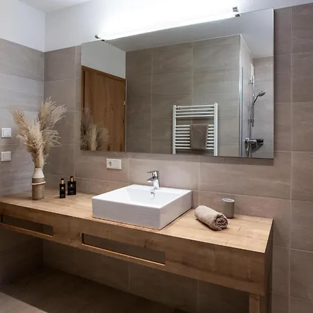 Apartamento Residenz Wildkogelbahnen 4 *