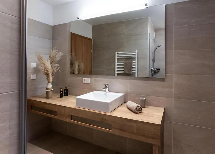 דירה Residenz Wildkogelbahnen 4 *